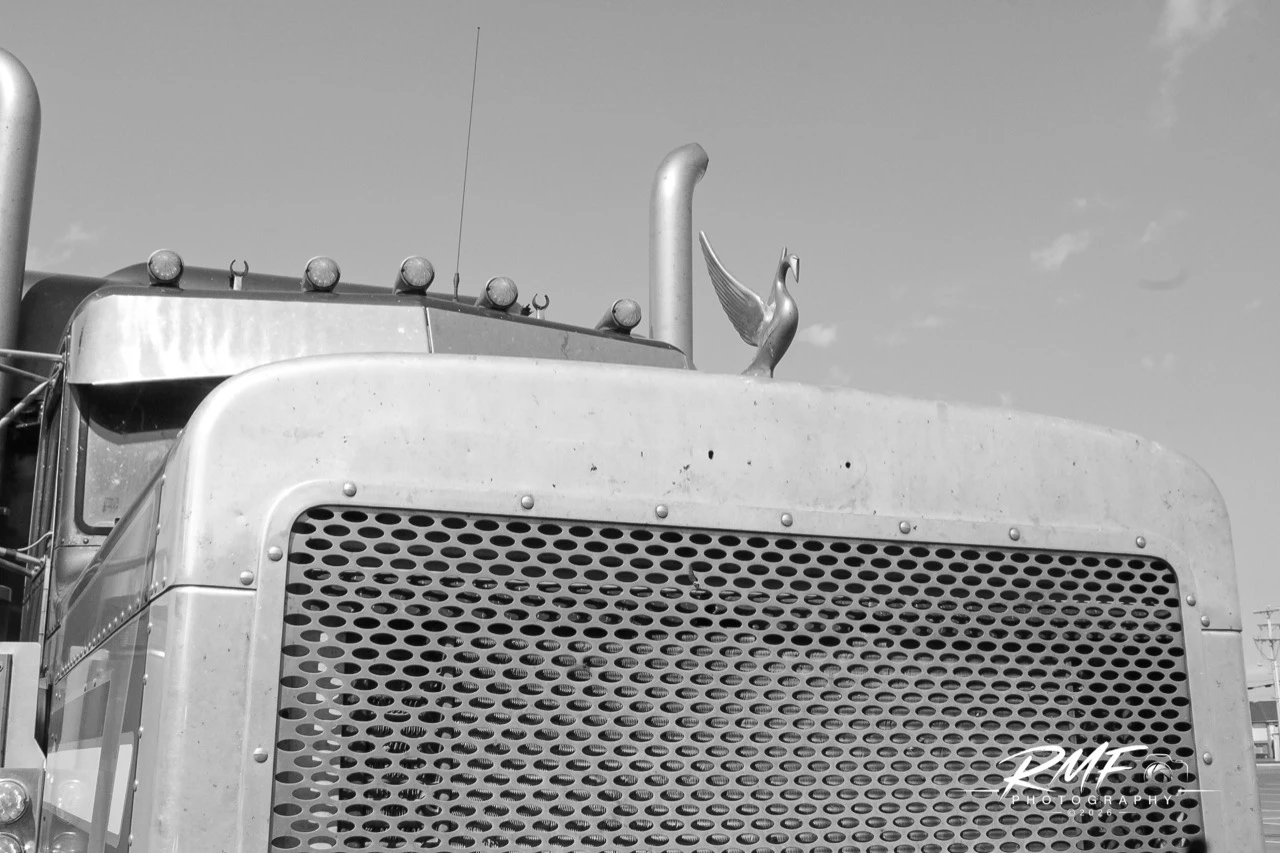 Black-and-white close portrait of a classic truck grille and swan hood ornament